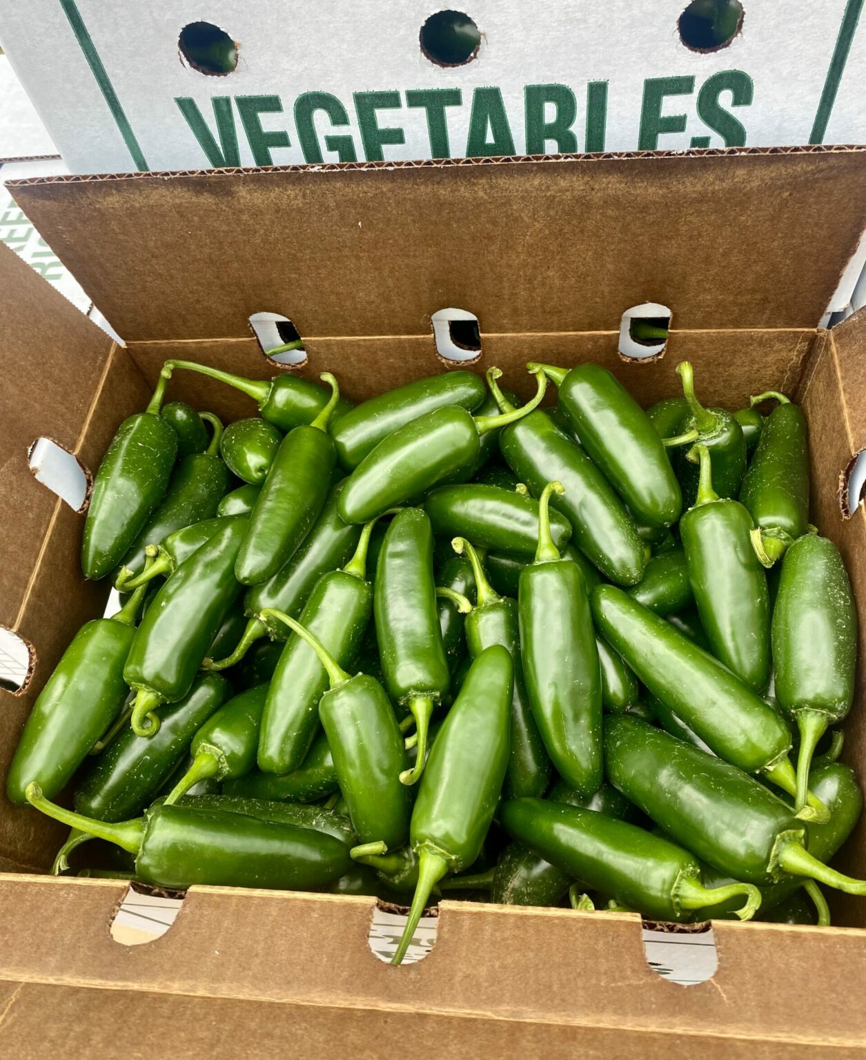 Kemmerer Farms Vegetable Farm in Berwick, PA